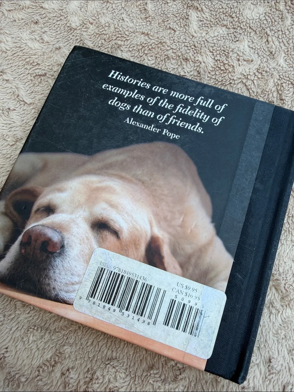 The Dog by Ella Earle 🐶 Black and Brown Hardcover Dog Book